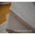 Madera comercial de madera dura de Okoume Face de 16 mm
